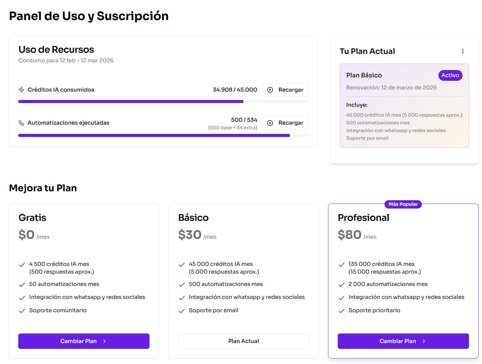 Panel de suscripción con estadísticas de uso, plan actual y métodos de pago